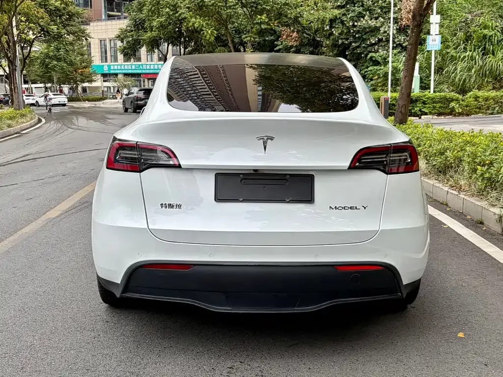 Tesla Model Y — фото 10