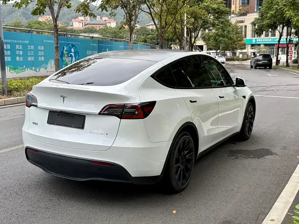 Tesla Model Y — фото 8
