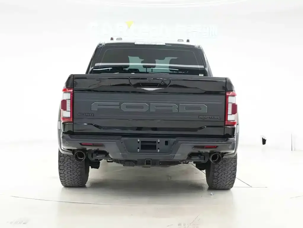 Ford F-150 Raptor 2023 из CN, фото 5