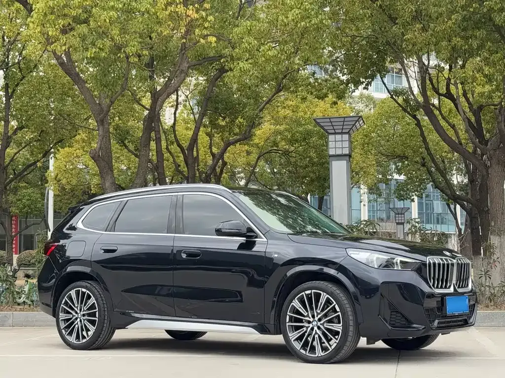 BMW X1 2023 из CN, фото 9