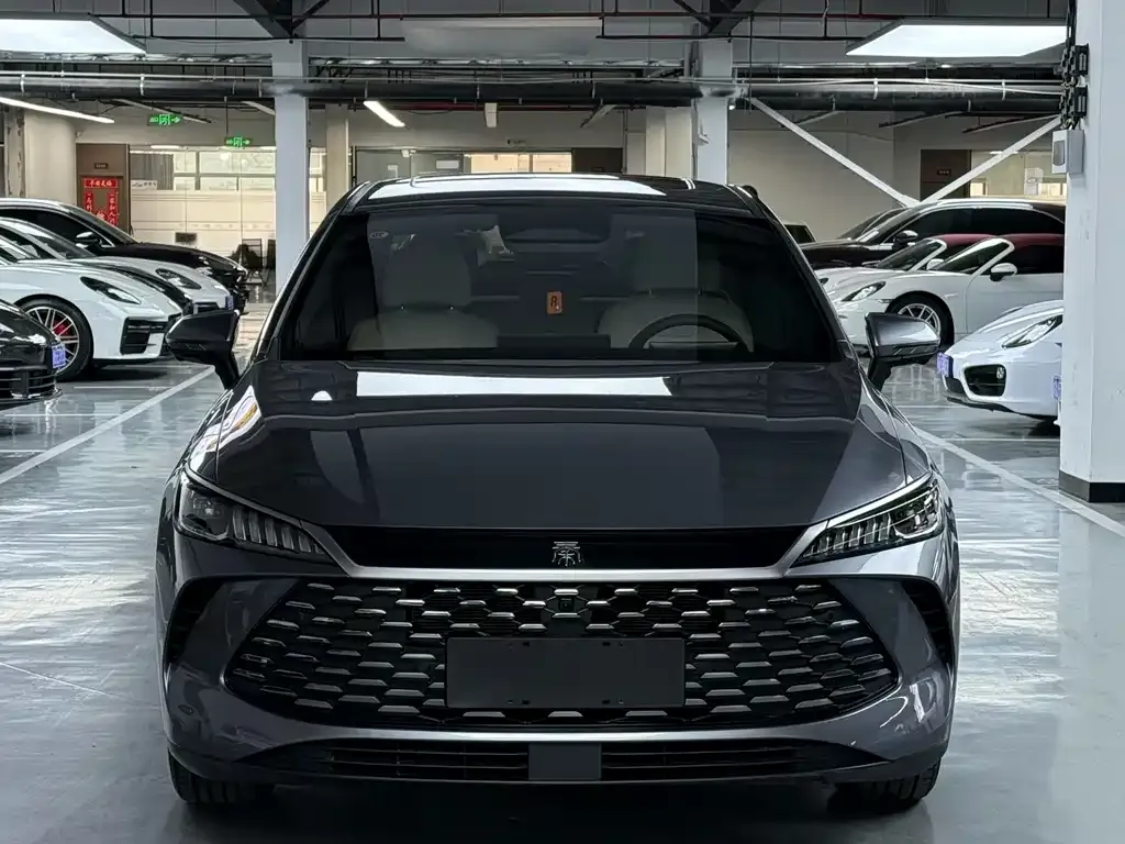 BYD Qin PLUS — фото 2