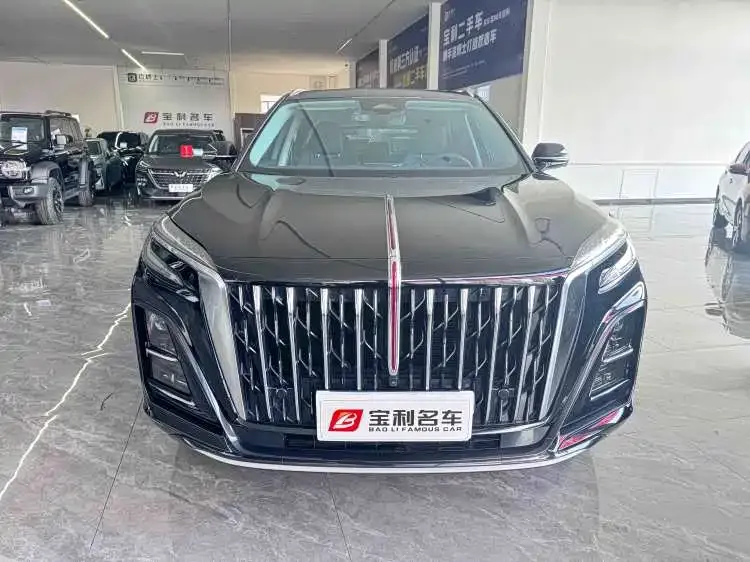 Hongqi HS3 — фото 5