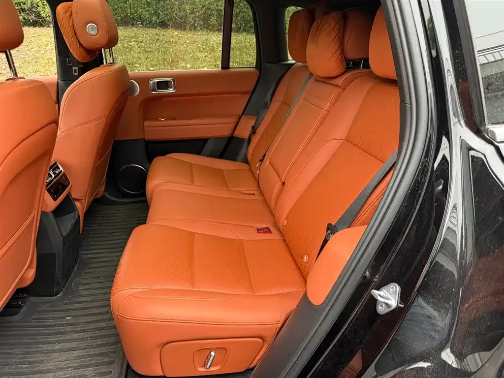 Li Auto Li L6 2024 из CN, фото 9