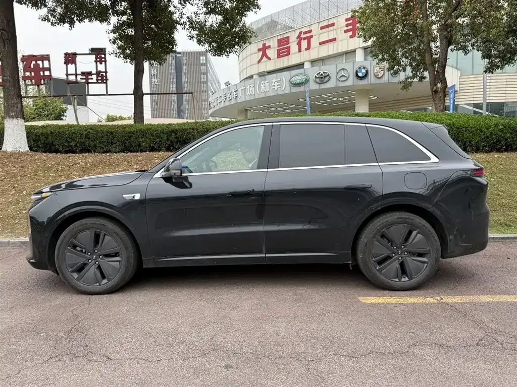 Li Auto Li L6 2024 из CN, фото 4
