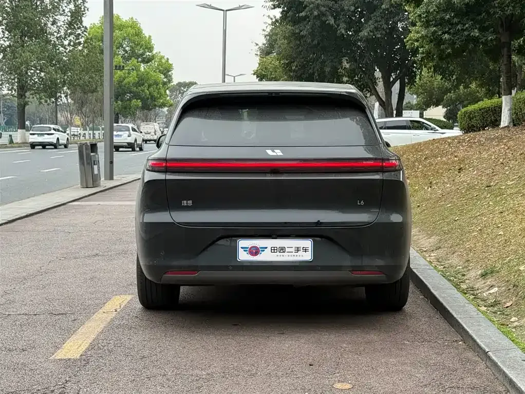 Li Auto Li L6 2024 из CN, фото 8