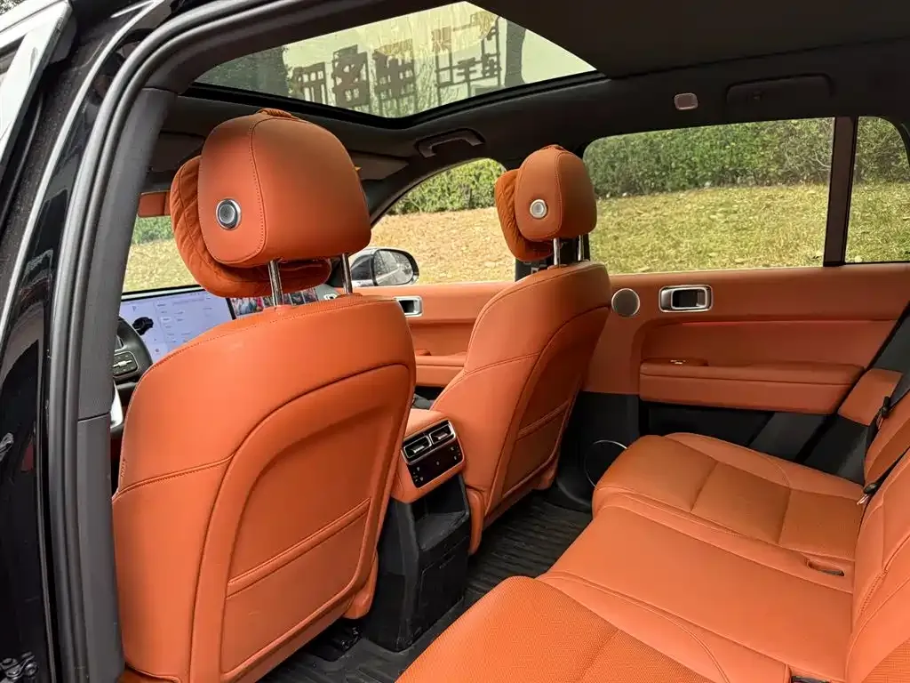 Li Auto Li L6 2024 из CN, фото 2