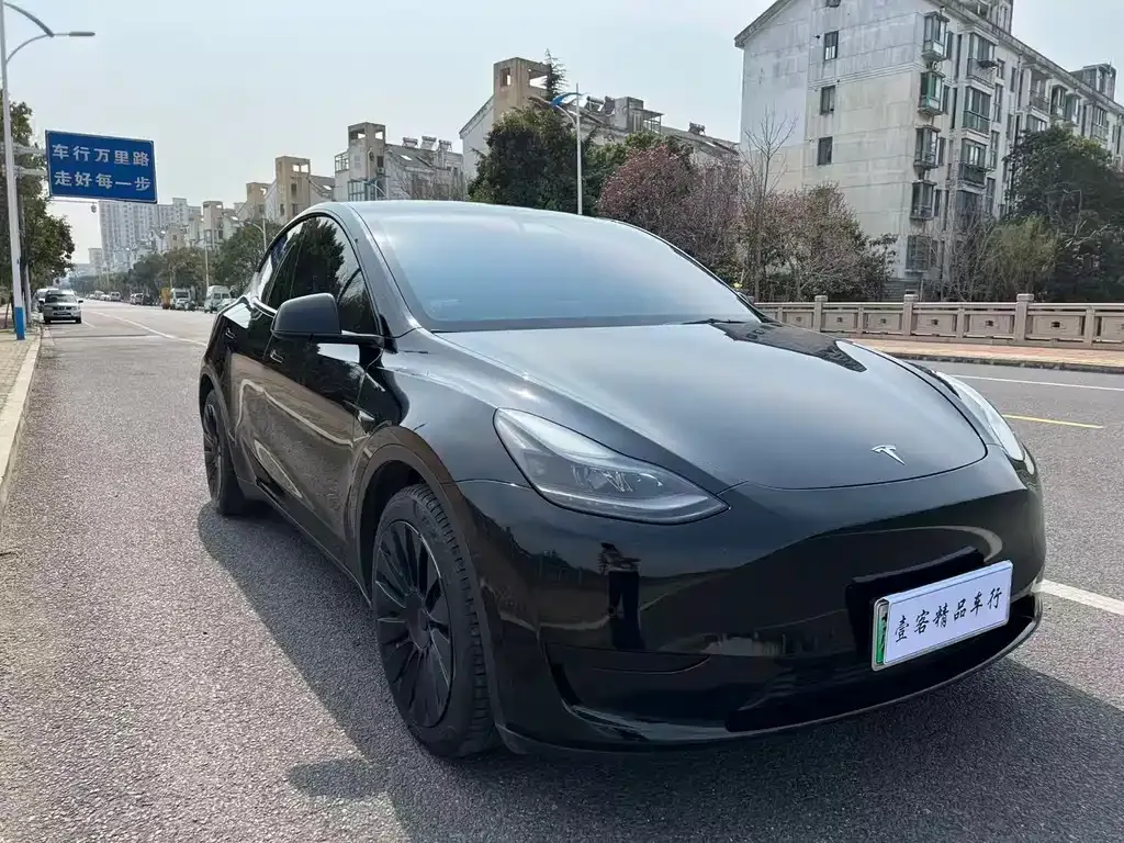 Tesla Model Y — фото 1