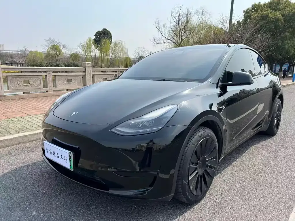 Tesla Model Y — фото 9