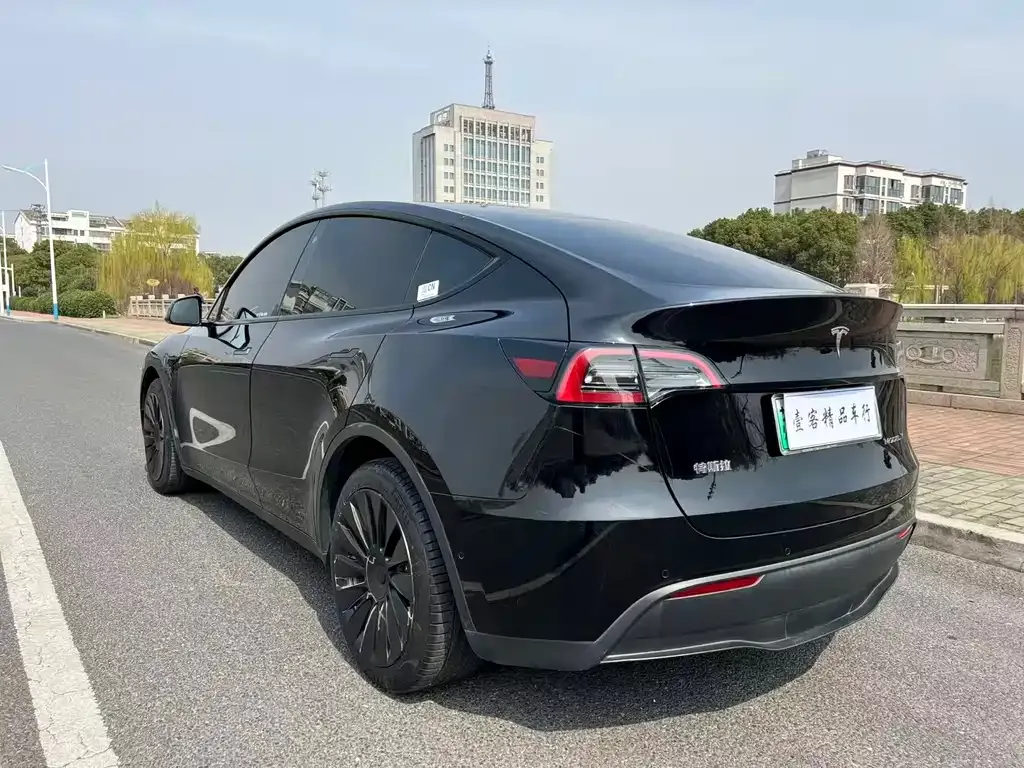 Tesla Model Y — фото 7
