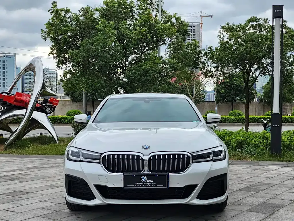 BMW 5 Series 2023 из CN, фото 6