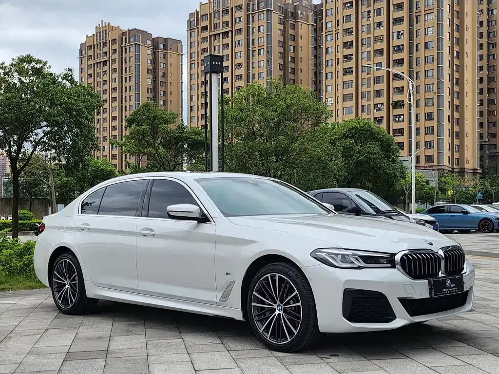 BMW 5 Series 2023 из CN, фото 9