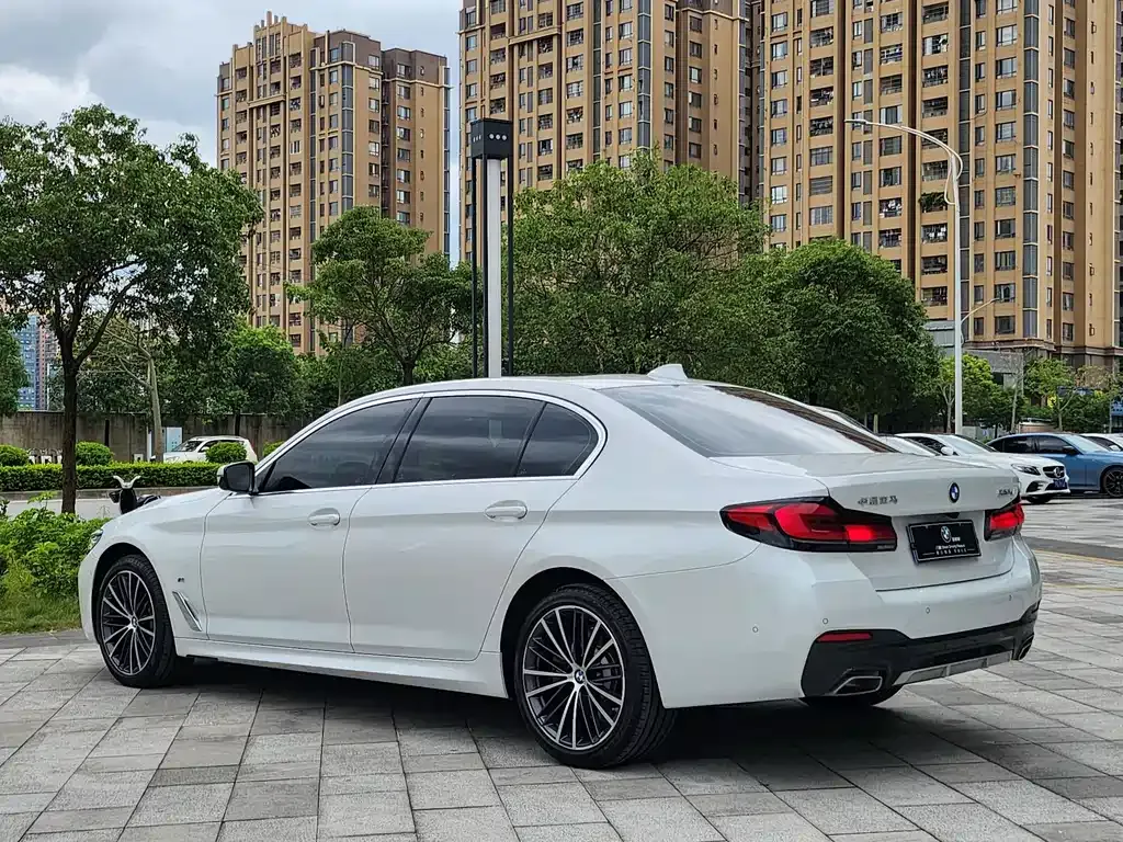 BMW 5 Series 2023 из CN, фото 8