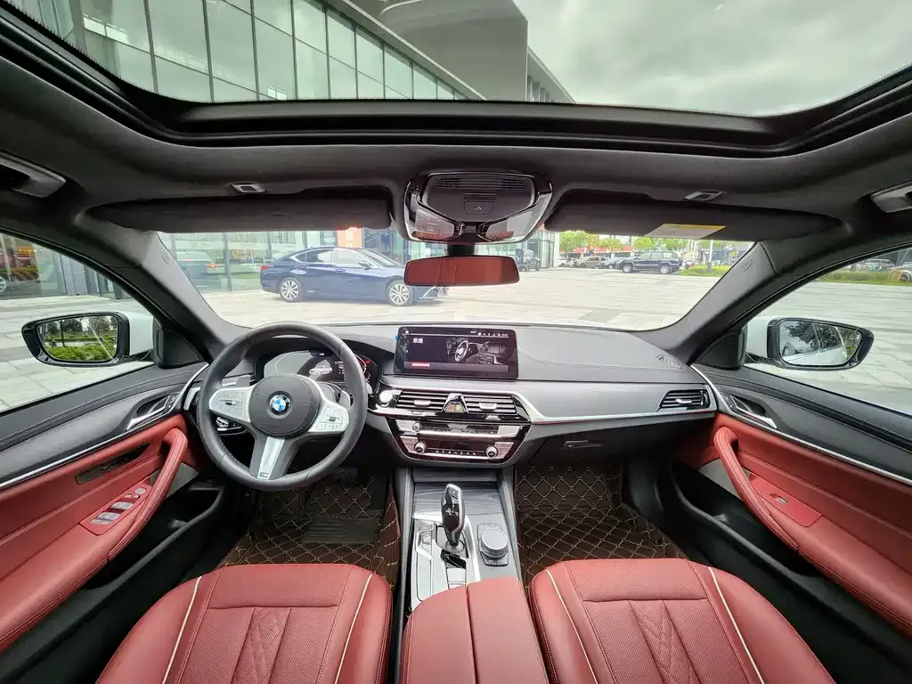 BMW 5 Series 2023 из CN, фото 10