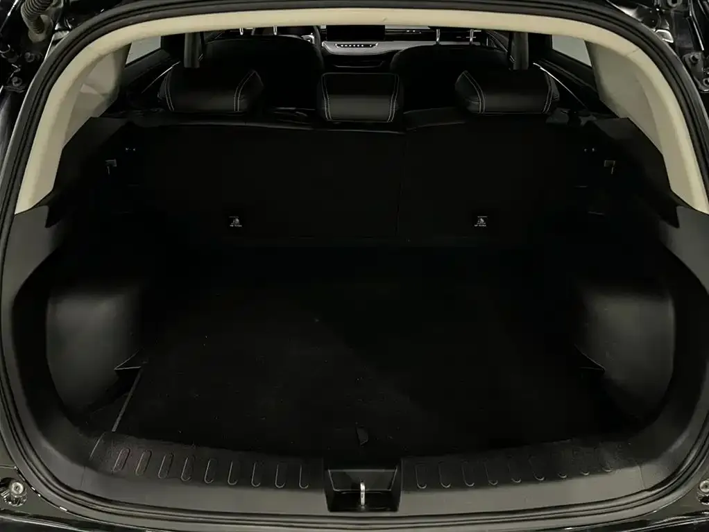 Haval Chulian 2021 из CN, фото 3