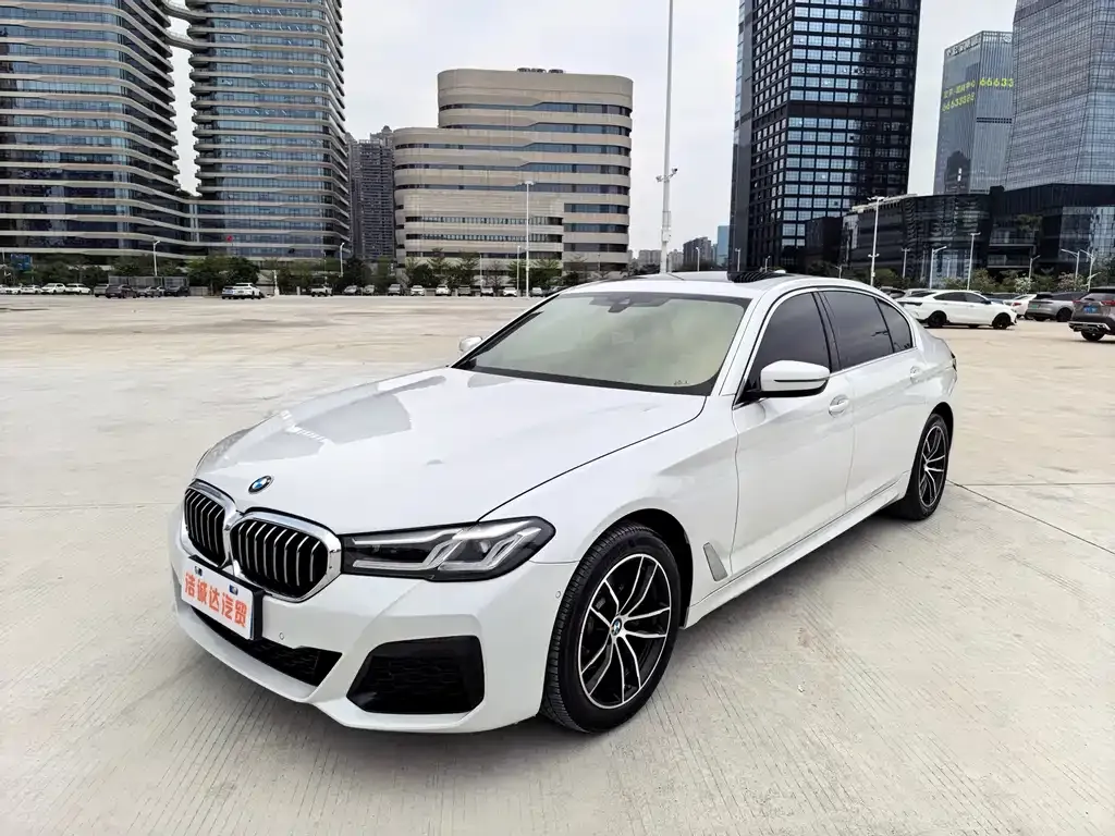 BMW 5 Series 2023 из CN, фото 1