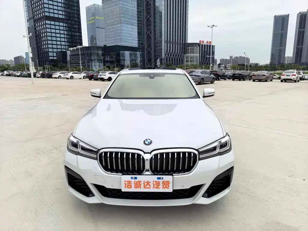 BMW 5 Series 2023 из CN, фото 5