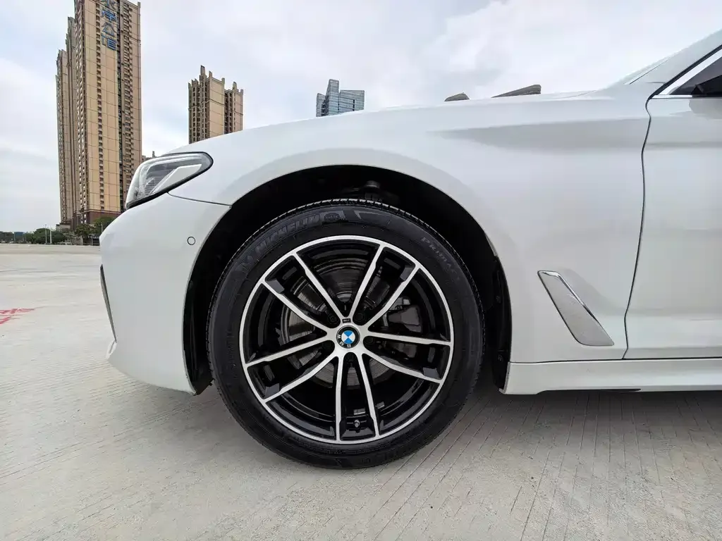 BMW 5 Series 2023 из CN, фото 6