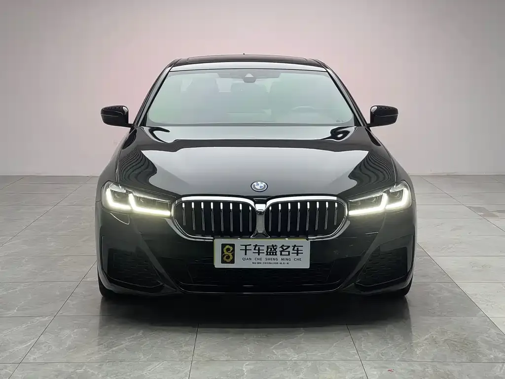 BMW 5 Series New Energy — фото 10