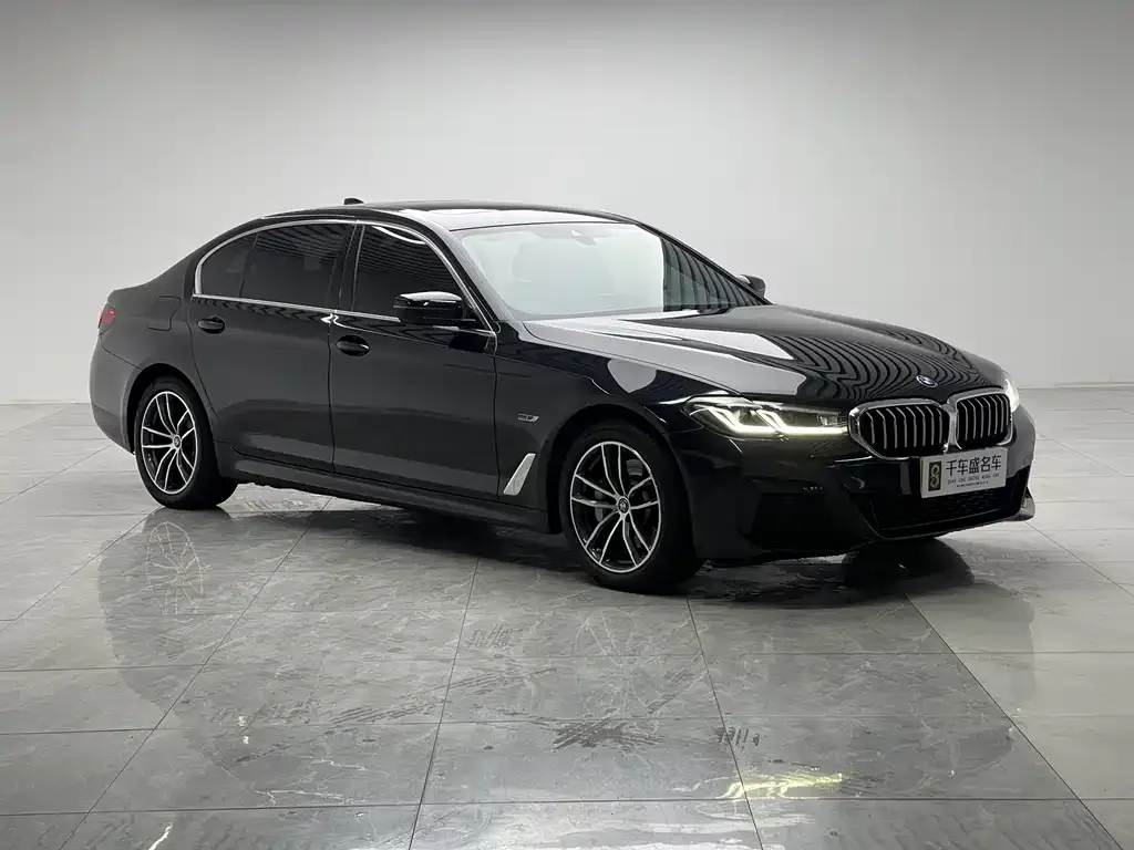 BMW 5 Series New Energy — фото 4