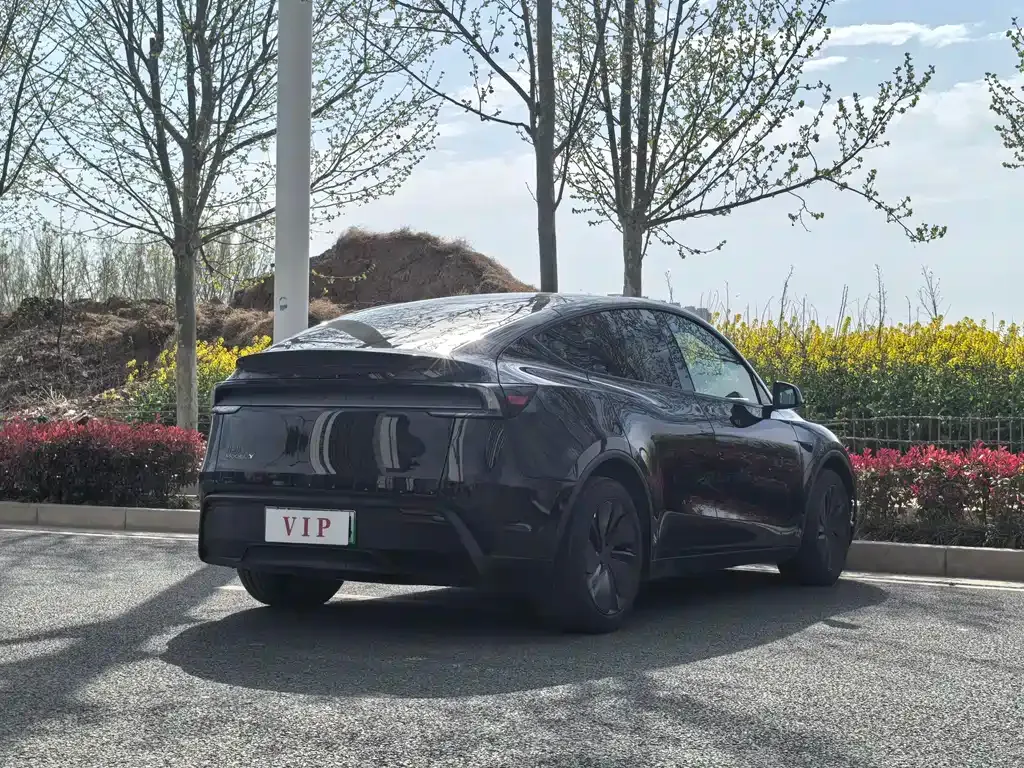 Tesla Model Y 2025 из CN, фото 4