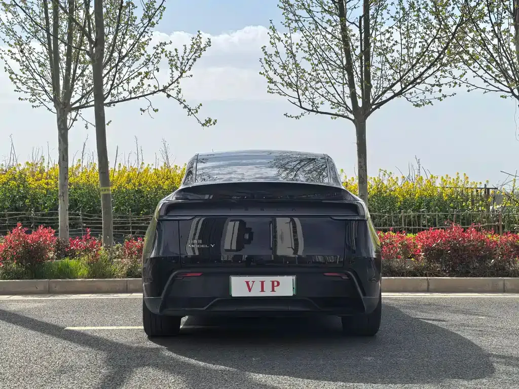 Tesla Model Y 2025 из CN, фото 7