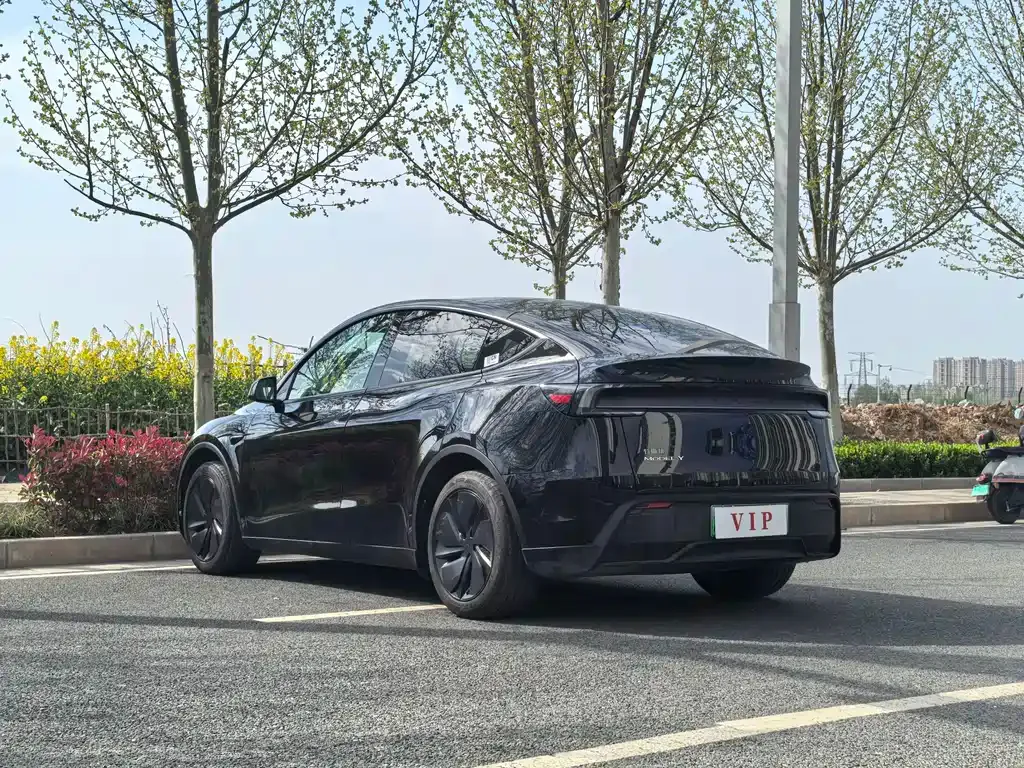 Tesla Model Y 2025 из CN, фото 6
