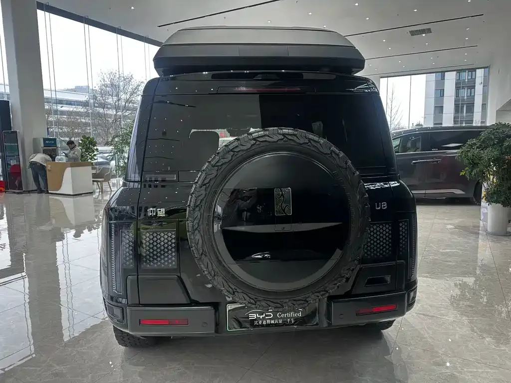 Yangwang U8 2024 из CN, фото 4