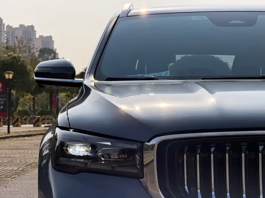 Geely Xingyue L 2024 из CN, фото 5