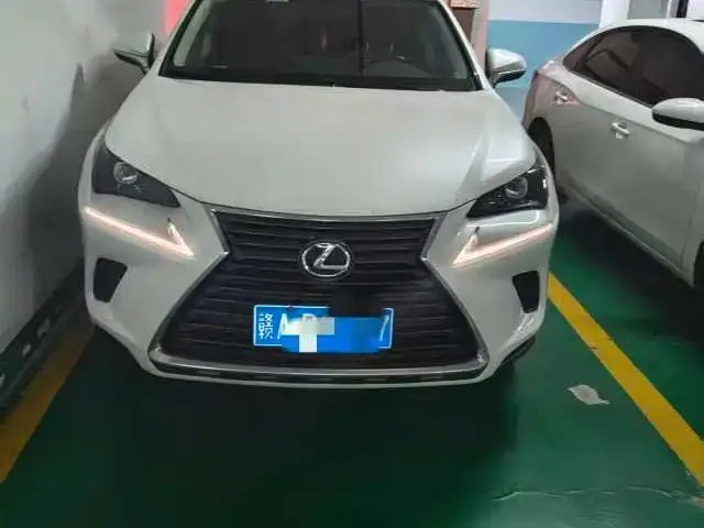 Lexus NX 2021 из CN, фото 1