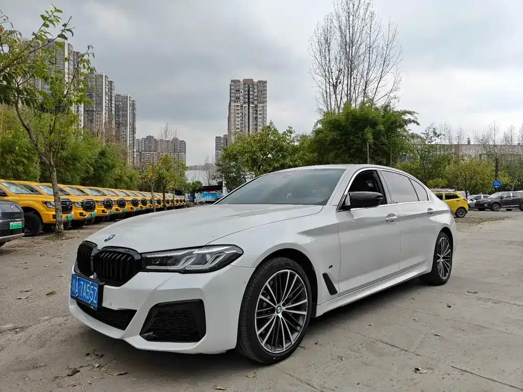 BMW 5 Series 2021 из CN, фото 1