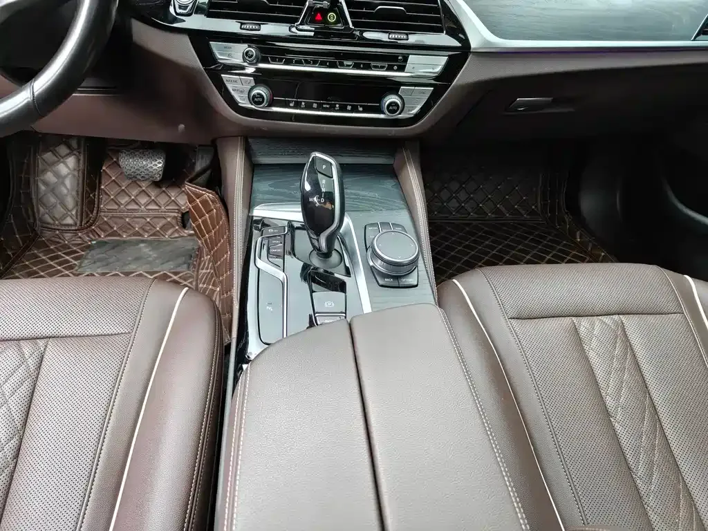 BMW 5 Series 2021 из CN, фото 7