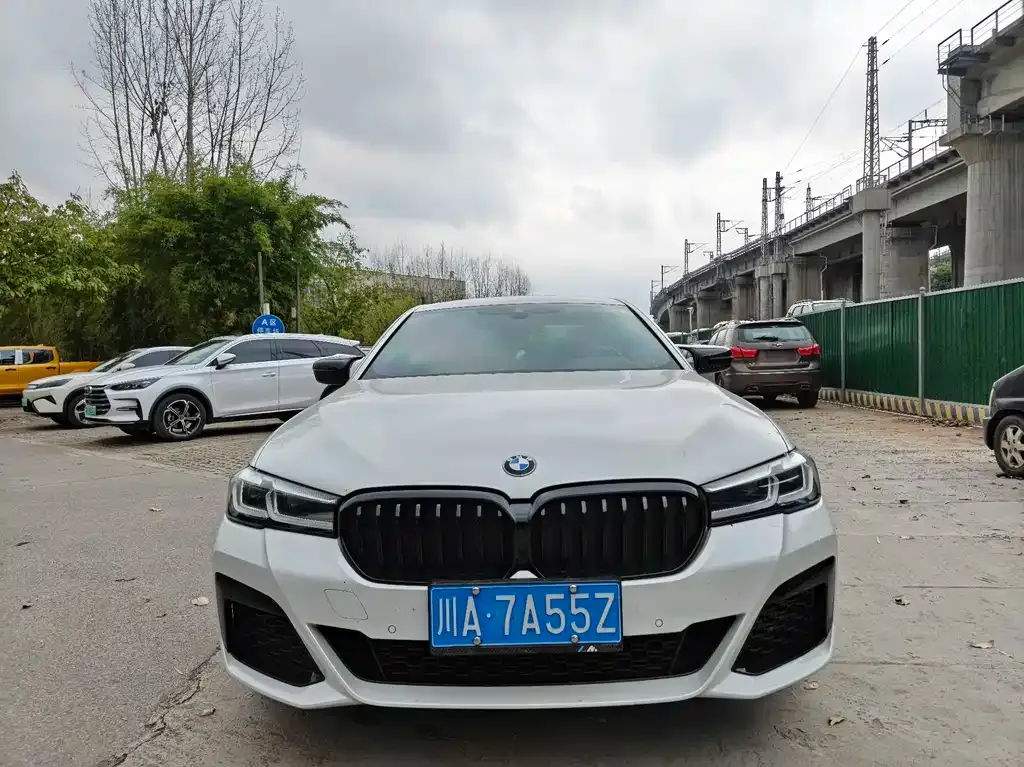 BMW 5 Series 2021 из CN, фото 8