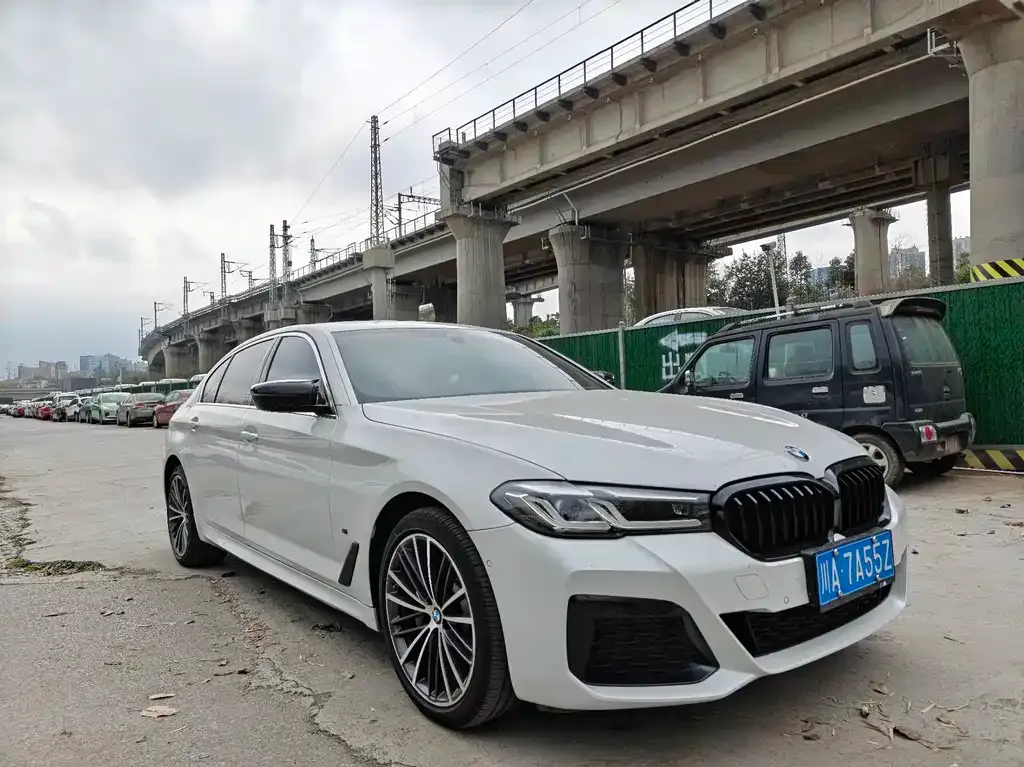 BMW 5 Series 2021 из CN, фото 4