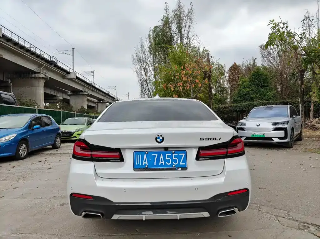 BMW 5 Series 2021 из CN, фото 5