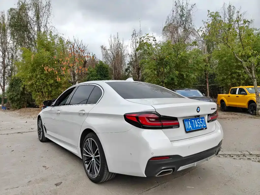 BMW 5 Series 2021 из CN, фото 6