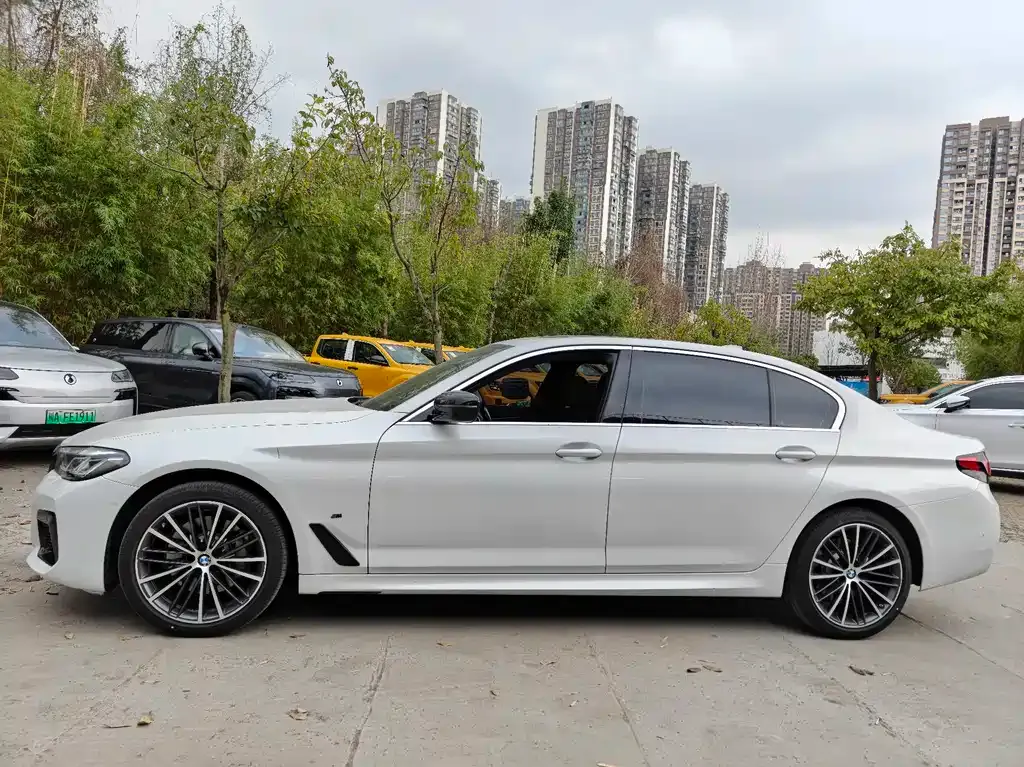 BMW 5 Series 2021 из CN, фото 3