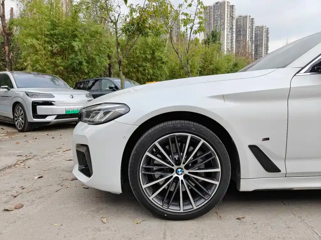BMW 5 Series 2021 из CN, фото 10