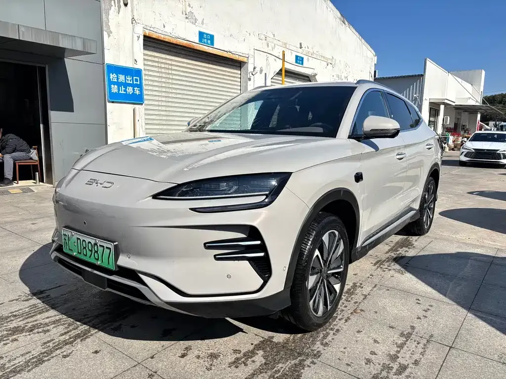 BYD PLUS New Energy — фото 1