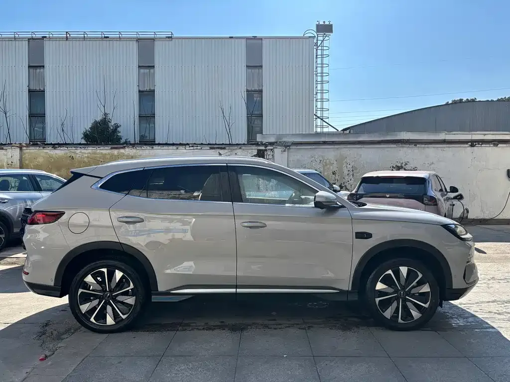 BYD PLUS New Energy — фото 10