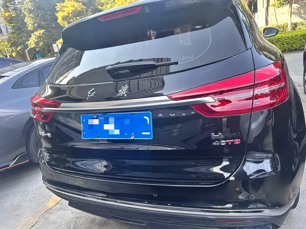 Hongqi HS5 2023 из CN, фото 6