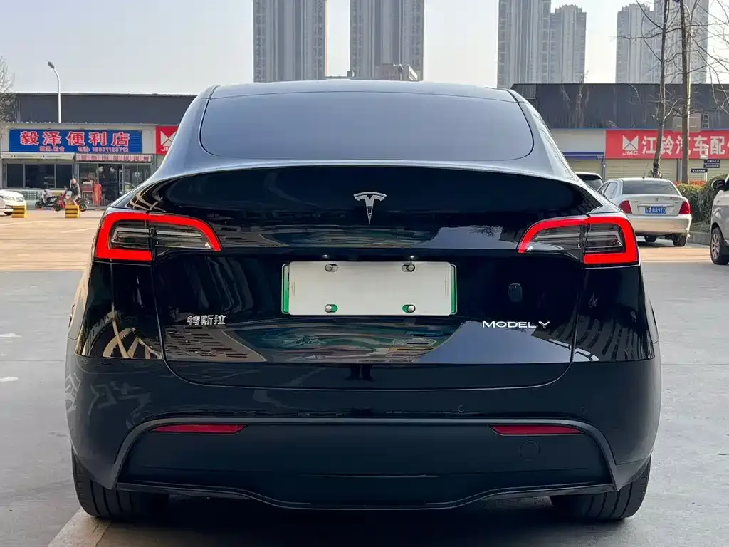 Tesla Model Y 2023 из CN, фото 6