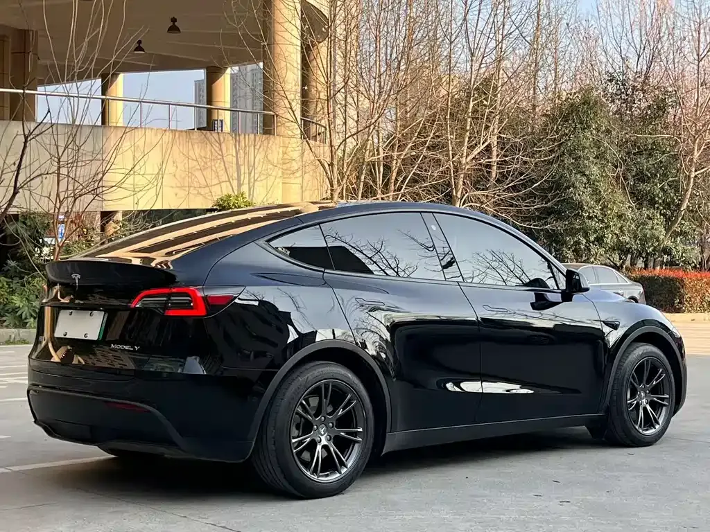 Tesla Model Y 2023 из CN, фото 5