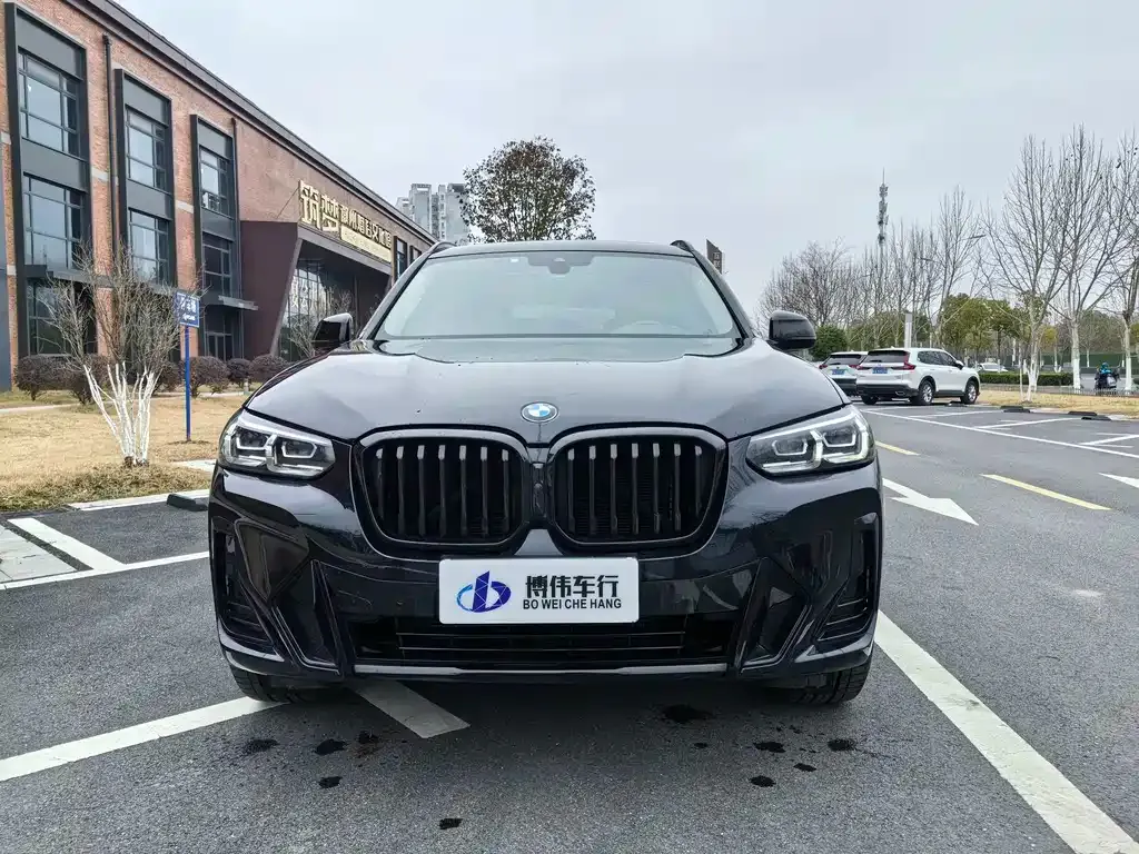 BMW X3 2023 из CN, фото 9