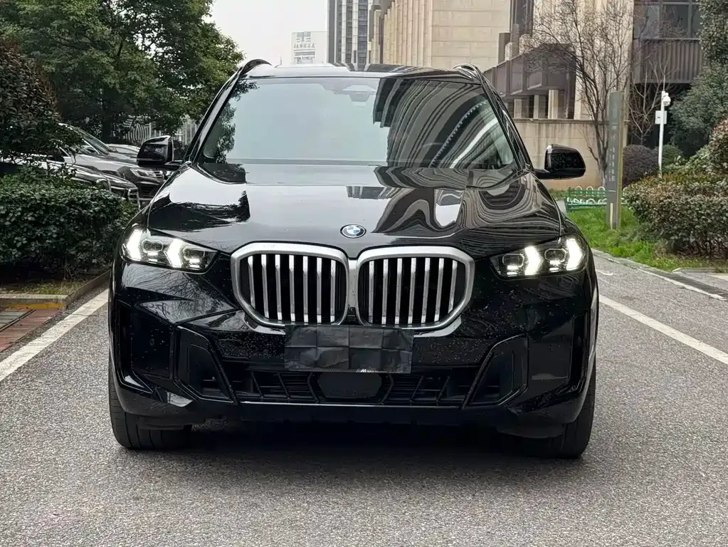 BMW X5 — фото 1