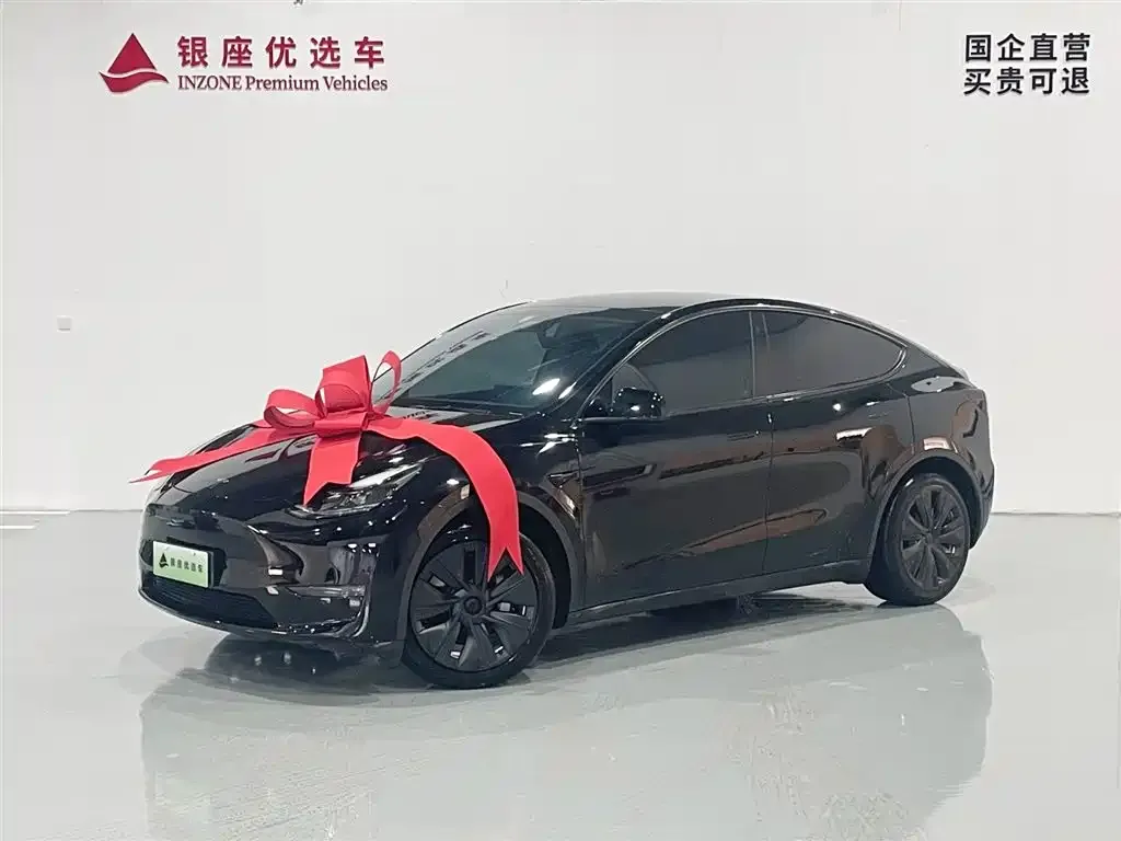 Tesla Model Y — фото 10