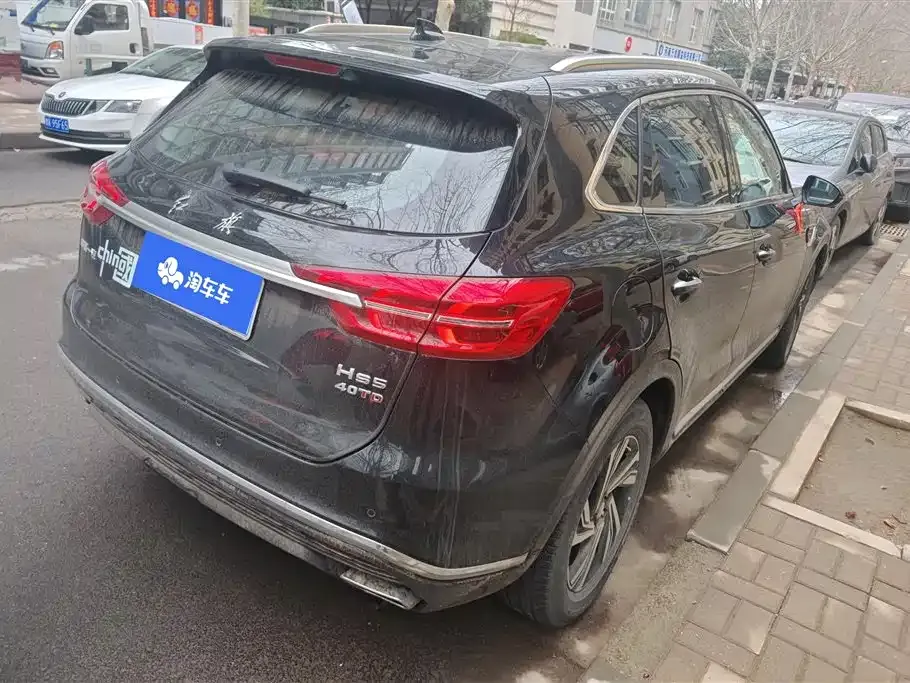 Hongqi HS5 2023 из CN, фото 10