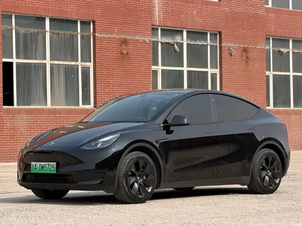 Tesla Model Y — фото 1
