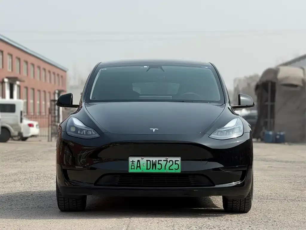 Tesla Model Y — фото 10