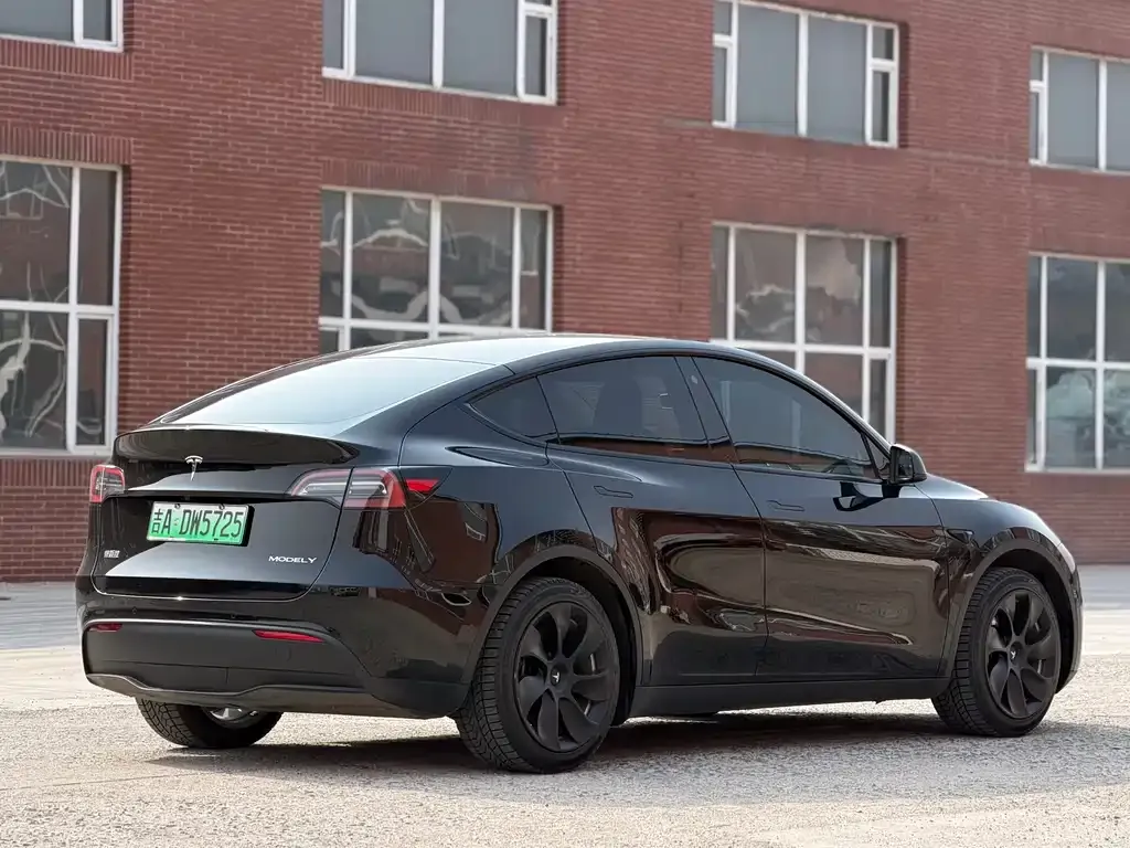 Tesla Model Y — фото 6
