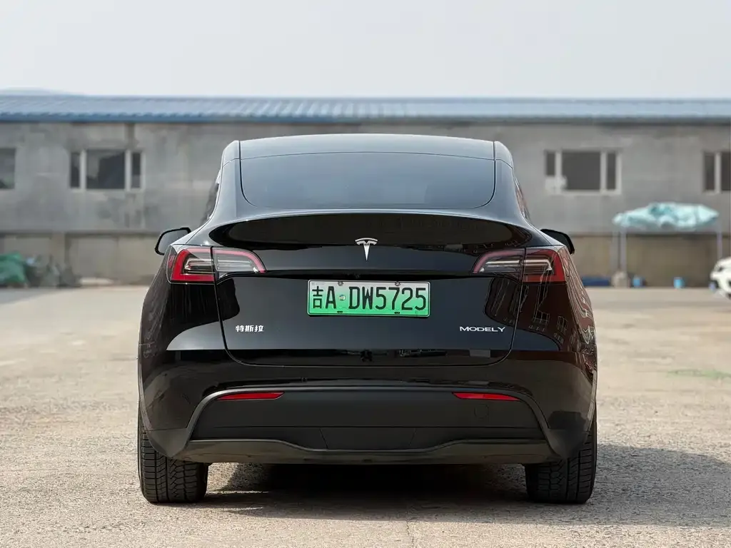 Tesla Model Y — фото 8
